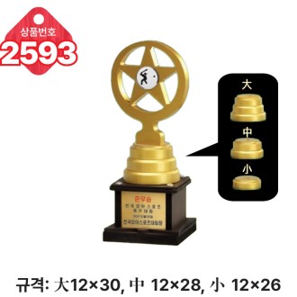  �Ϲ� ���� Ʈ���� 2593