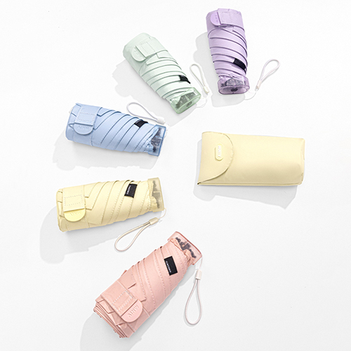 ������ 6K 5�� ���� ����